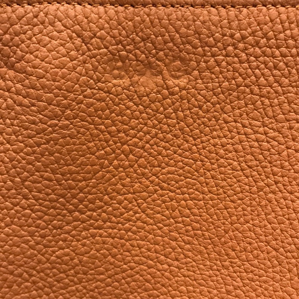 NFS Cuyana Bag Detail